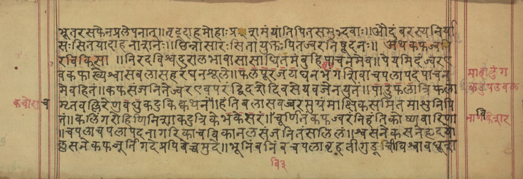 Vaidyavilāsa, page 6