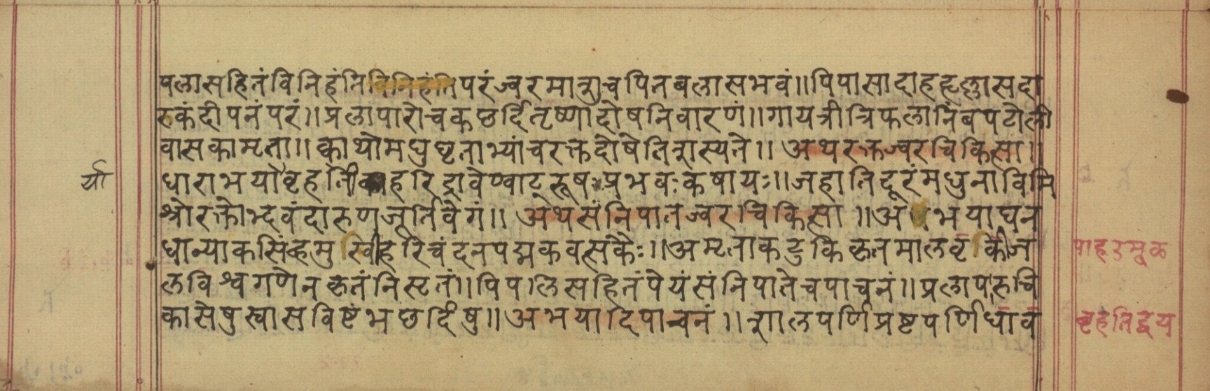 Vaidyavilāsa, page 10