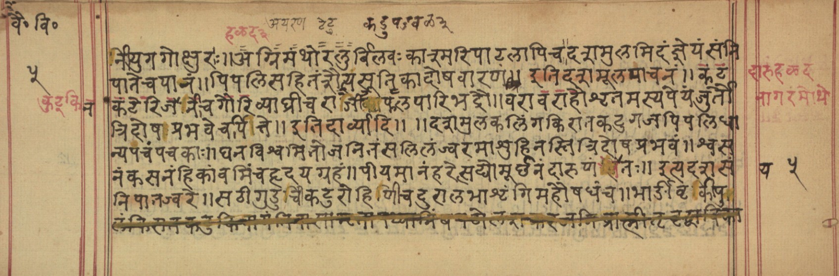 Vaidyavilāsa, page 11