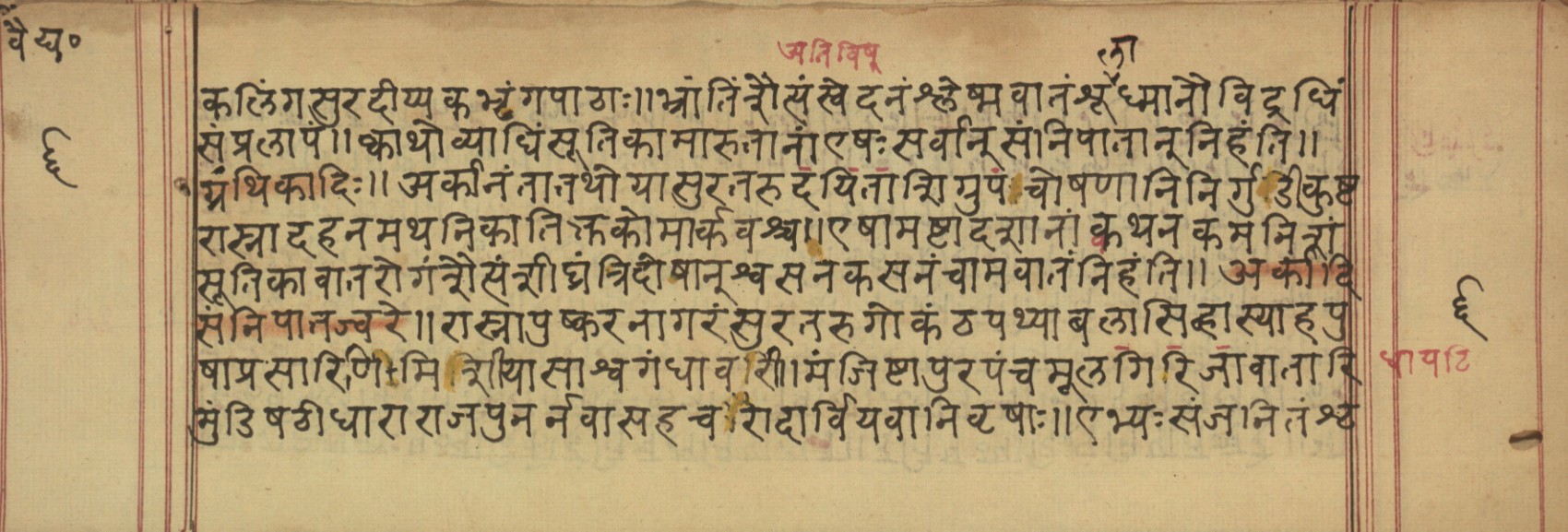 Vaidyavilāsa, page 13