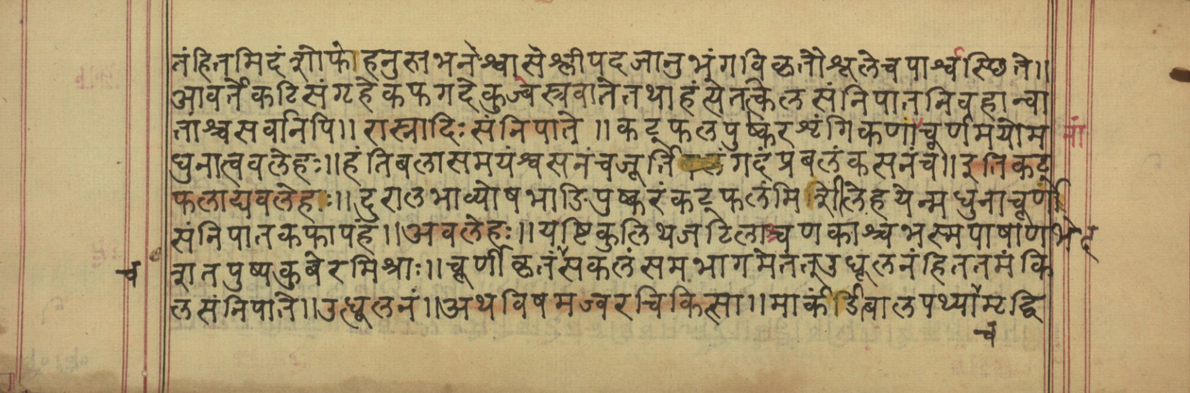 Vaidyavilāsa, page 14