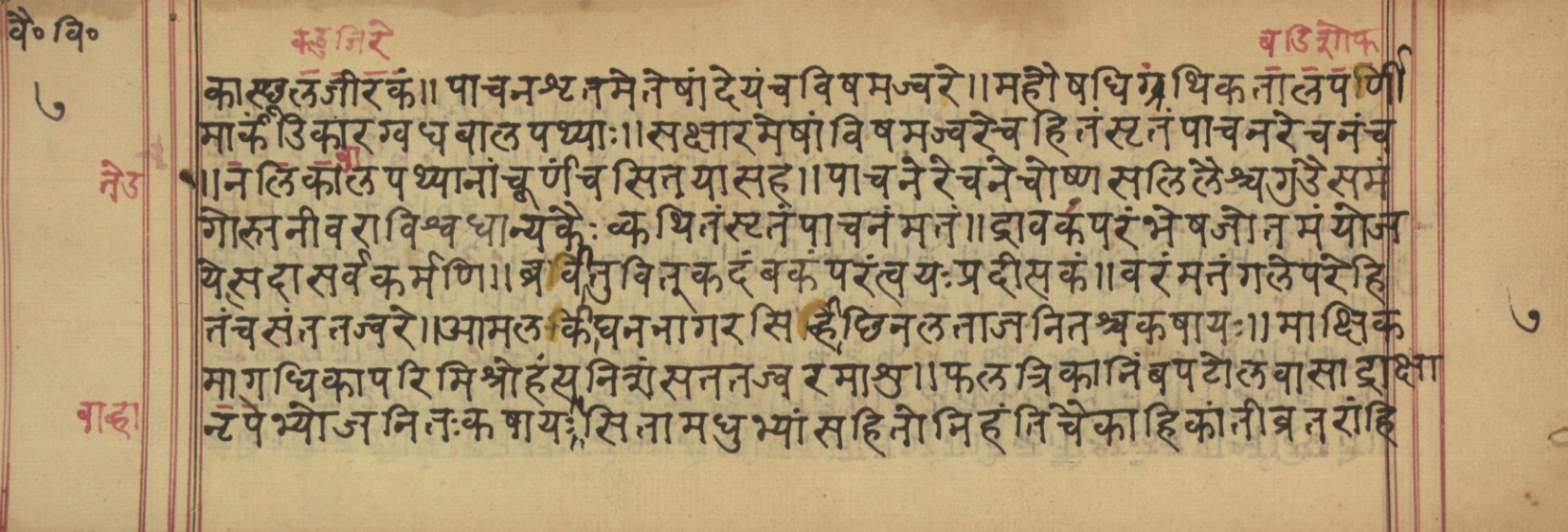 Vaidyavilāsa, page 15
