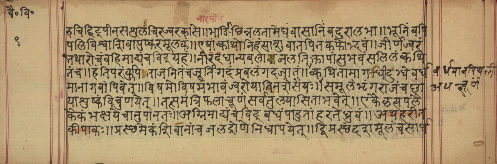 Vaidyavilāsa, page 19