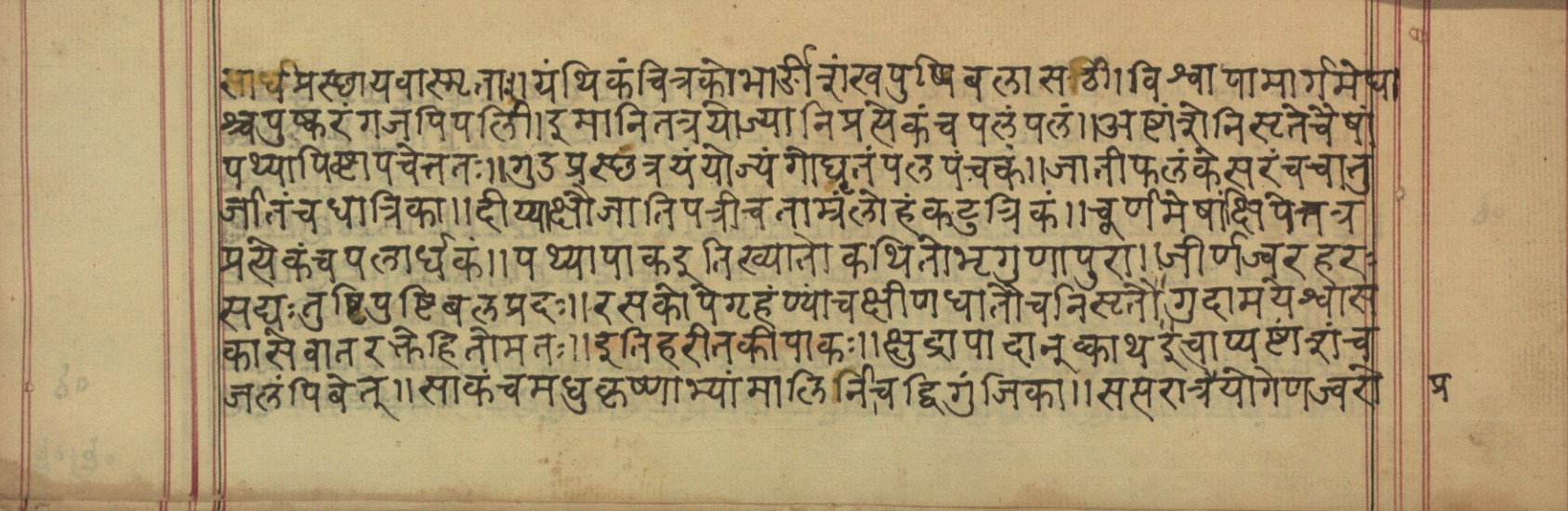 Vaidyavilāsa, page 20