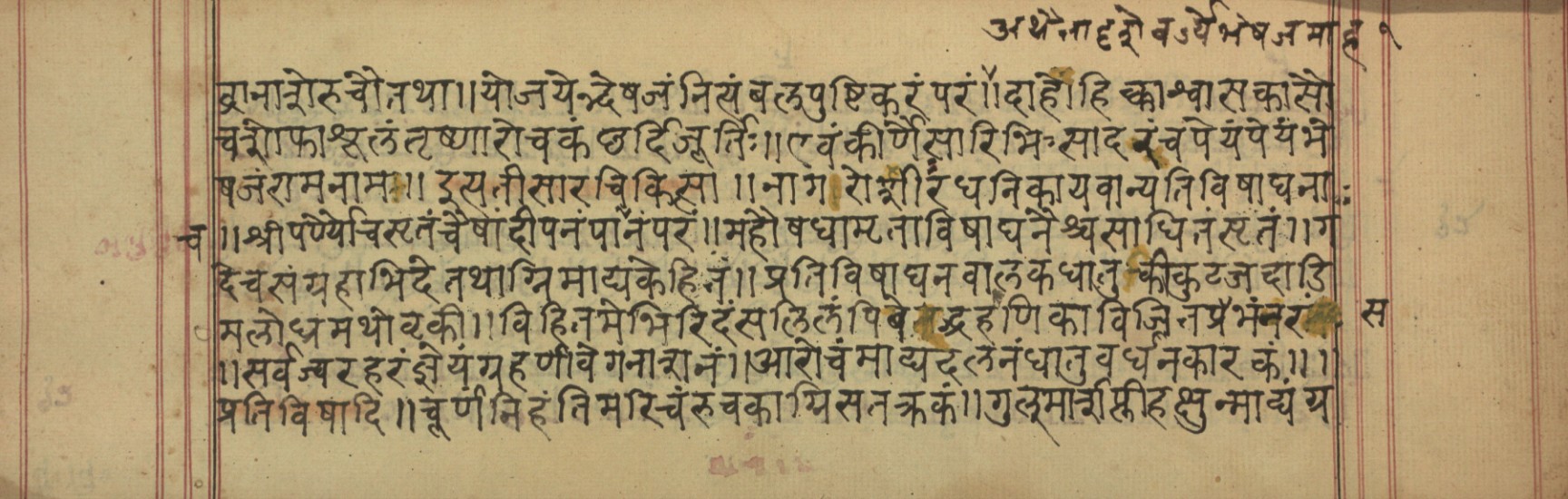 Vaidyavilāsa, page 24