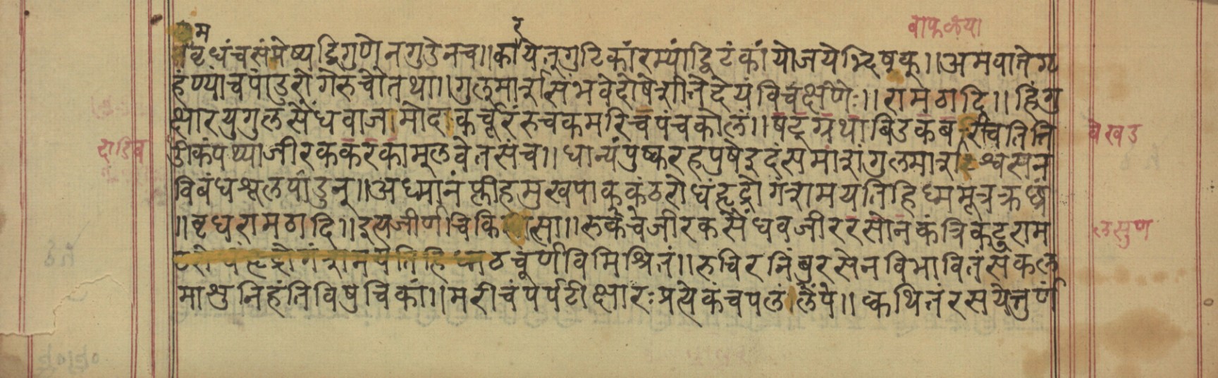 Vaidyavilāsa, page 30