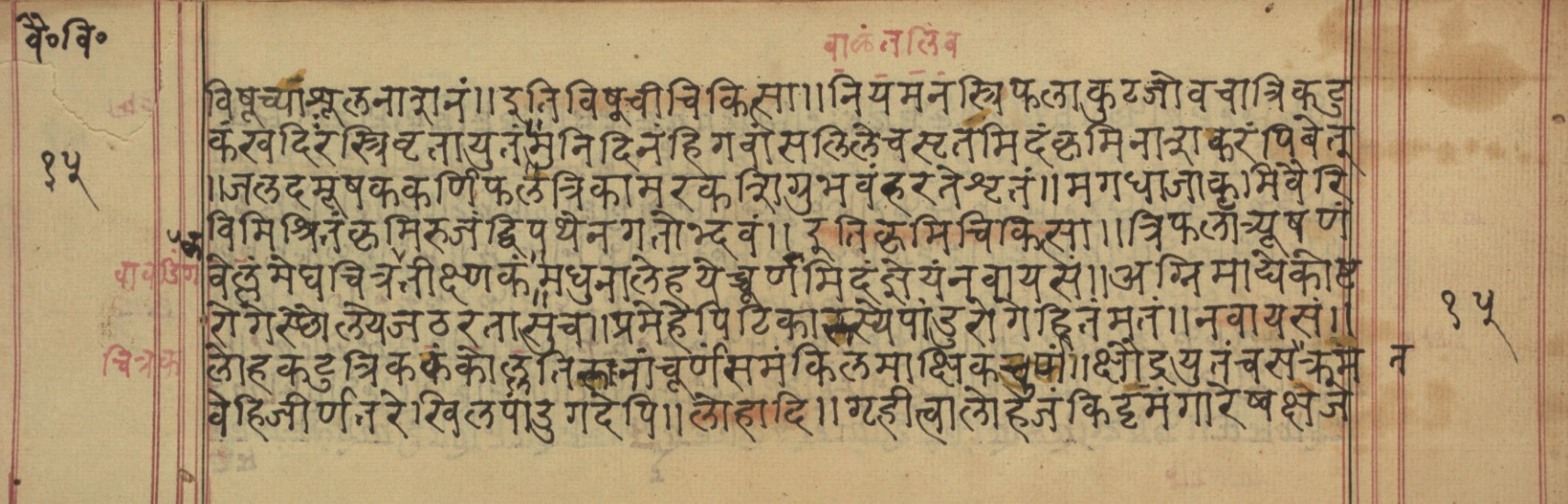 Vaidyavilāsa, page 31