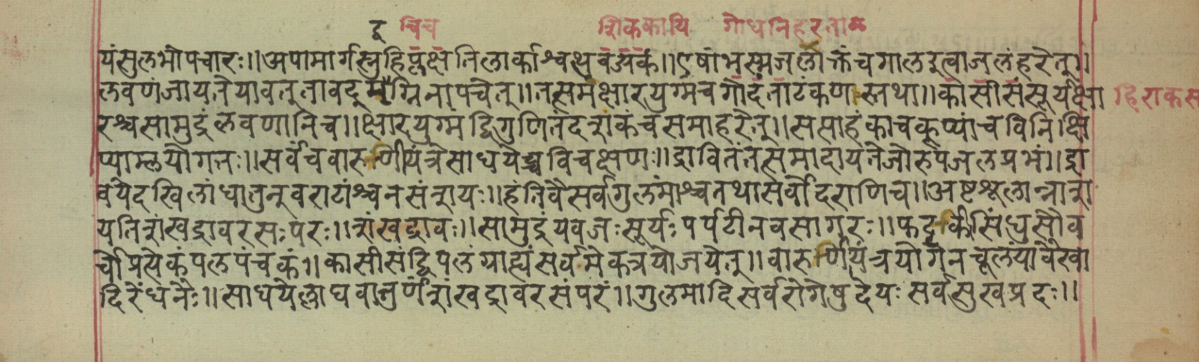 Vaidyavilāsa, page 42