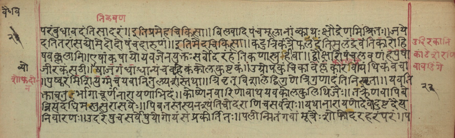 Vaidyavilāsa, page 45