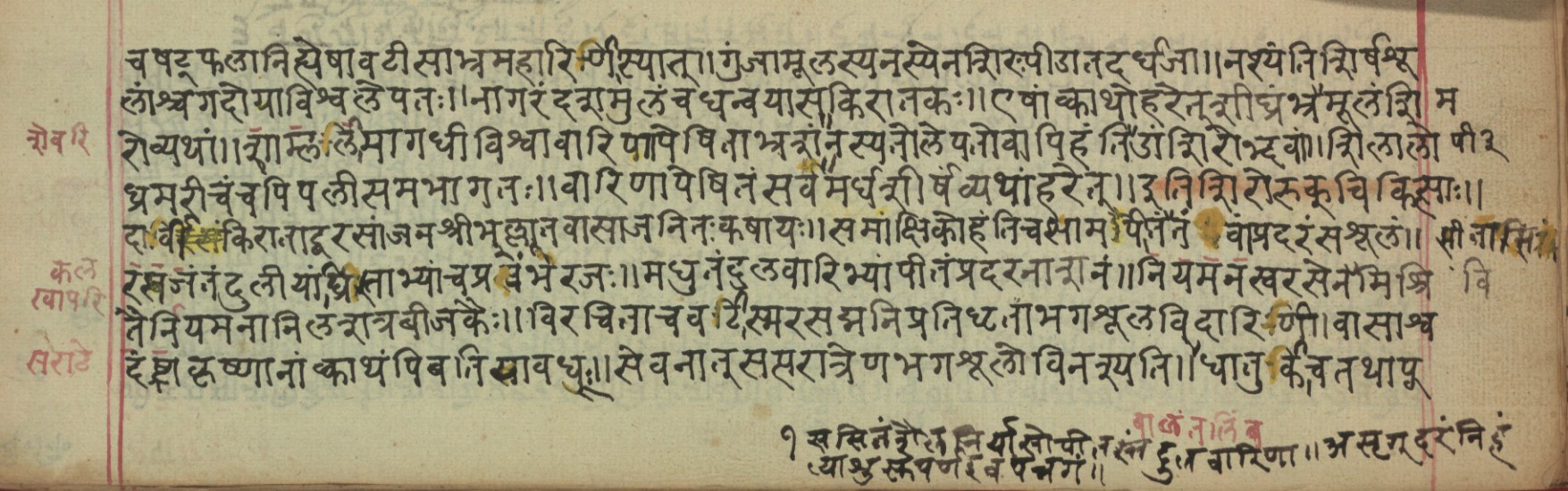 Vaidyavilāsa, page 60