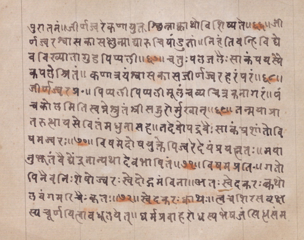 Vaidyānubhava, page 12