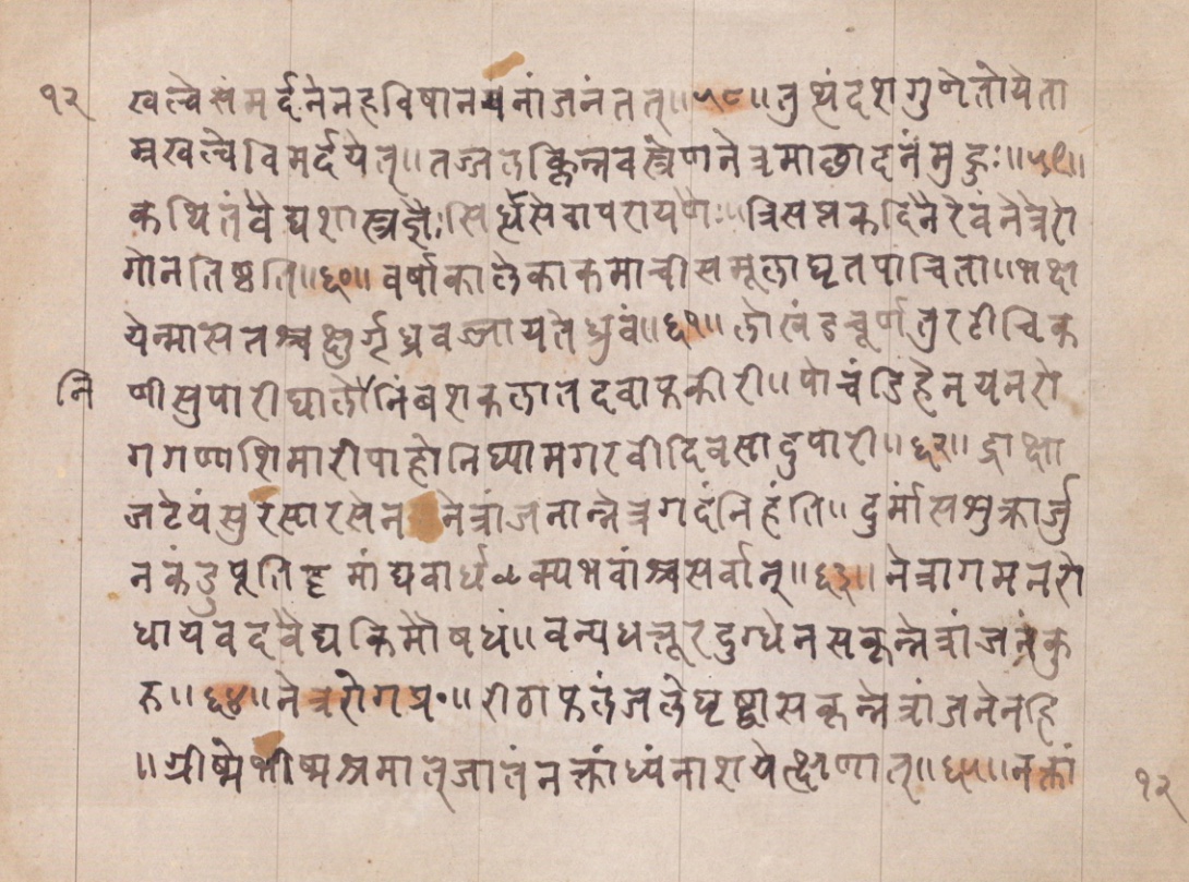 Vaidyānubhava, page 25