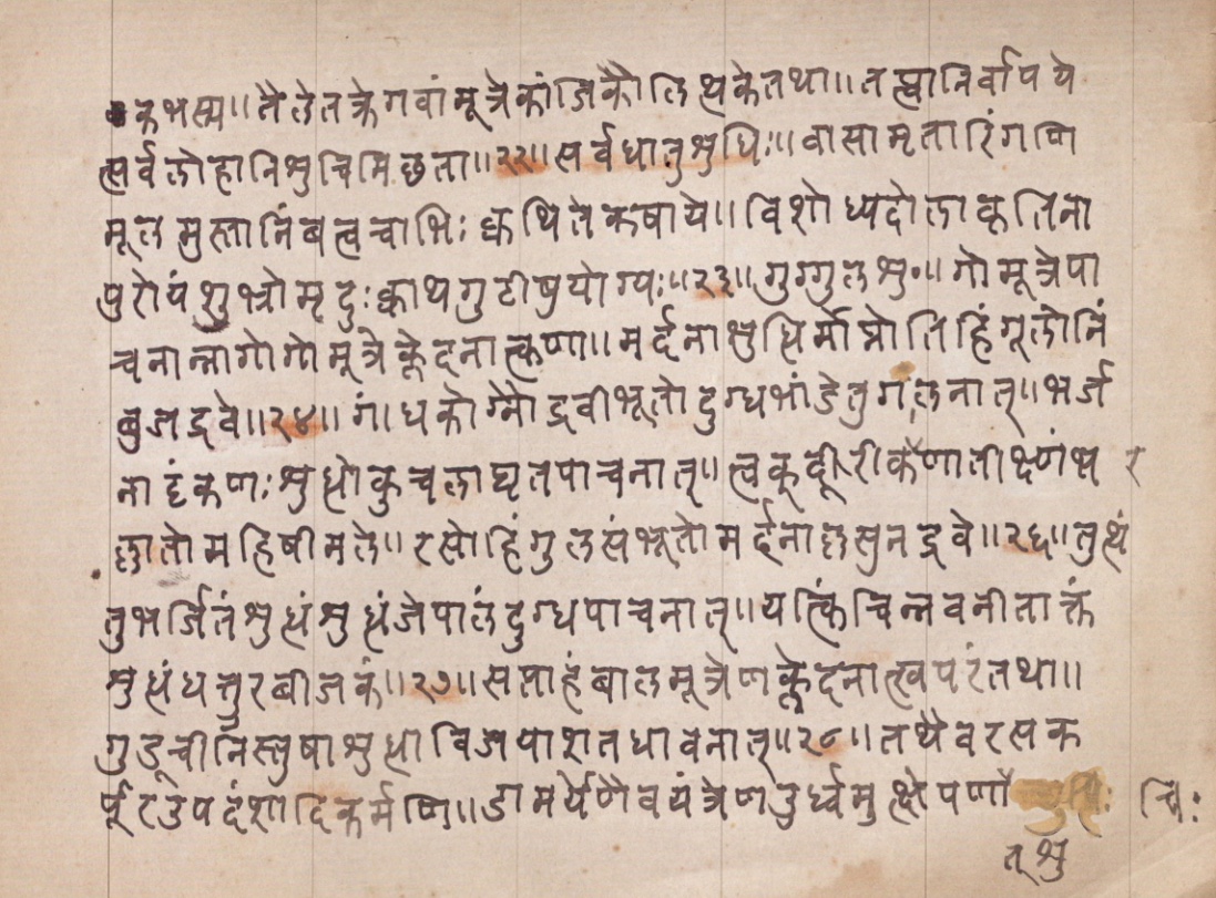 Vaidyānubhava, page 46