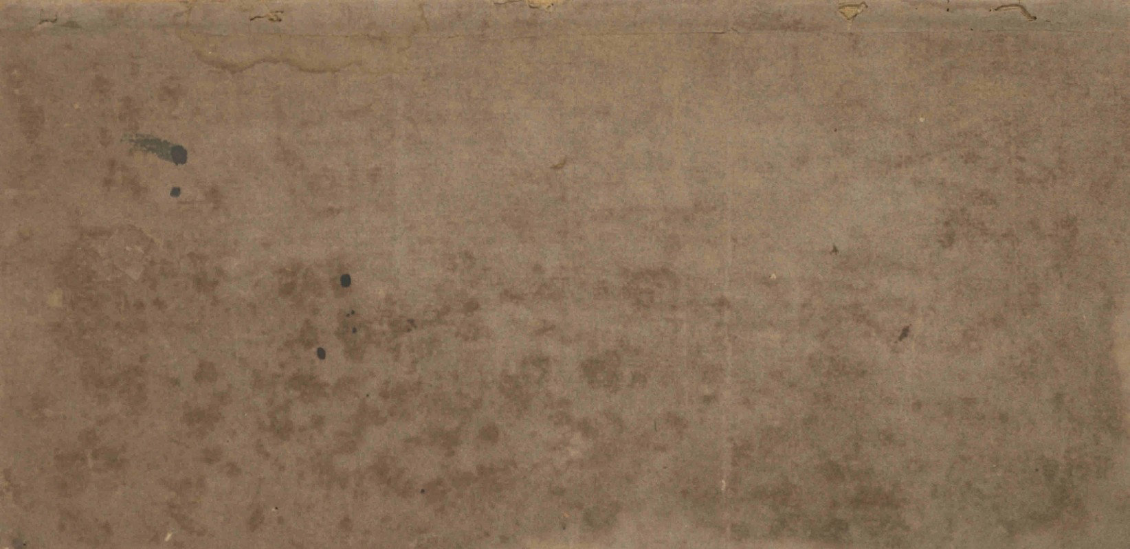 This manuscript leaf contains no visible text or content. The page appears blank with no Sanskrit transcription, translation, or discernible markings. It may represent an empty folio, damaged section, or placeholder in the manuscript sequence.