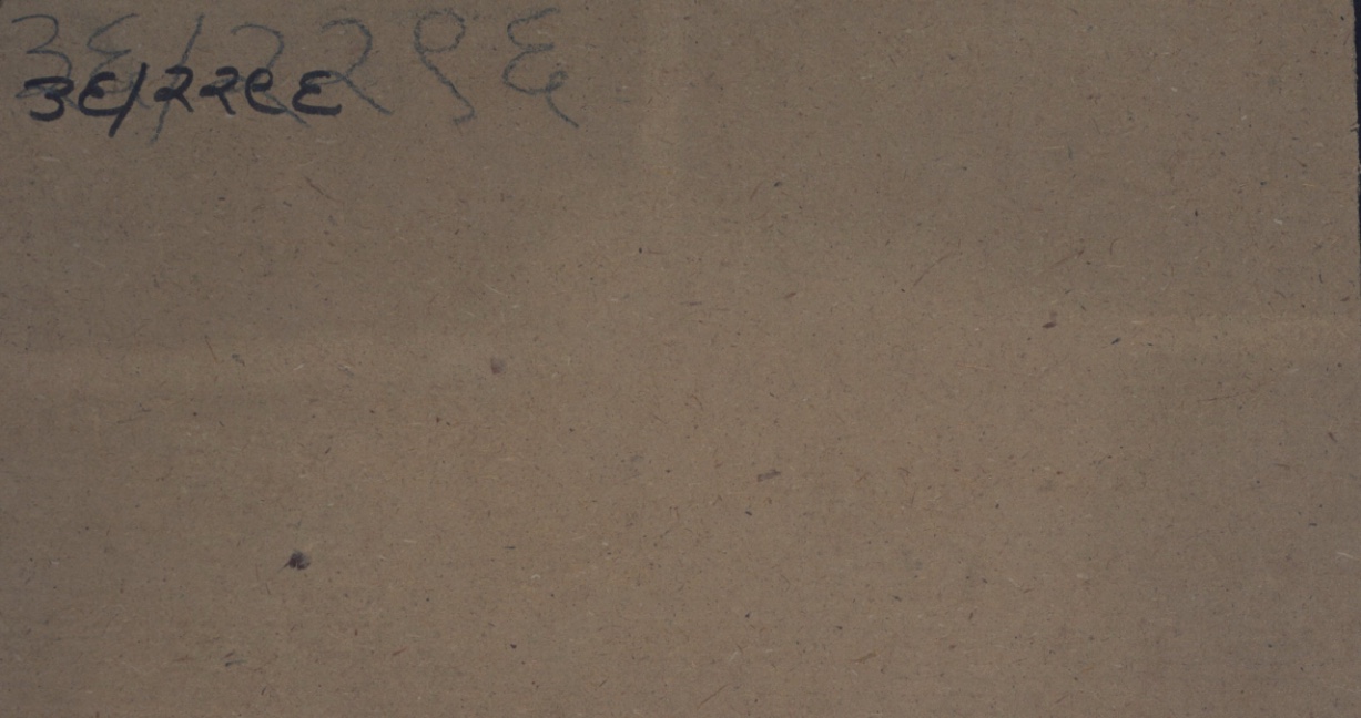 This page contains a folio or manuscript reference number 36 / 2296, indicating its position within a larger collection of ancient Sanskrit texts. The numbering suggests this is part of a catalogued series of palm leaf or paper manuscripts, commonly found in traditional Indian medical or philosophical archives. Such reference numbers help scholars locate specific sections within extensive compilations of Ayurvedic, Vedic, or classical Sanskrit literature.