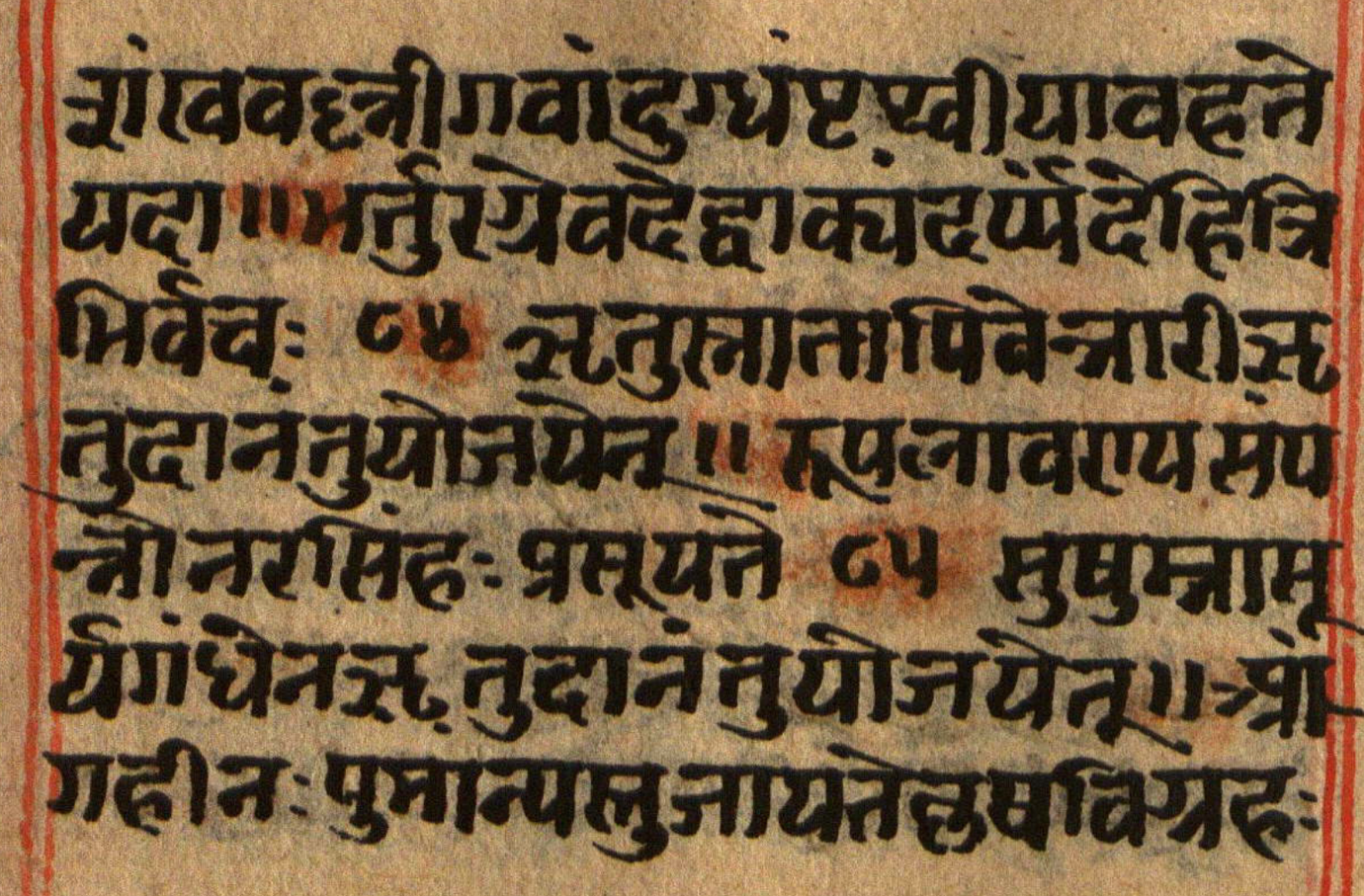 Manusmṛti, page 102