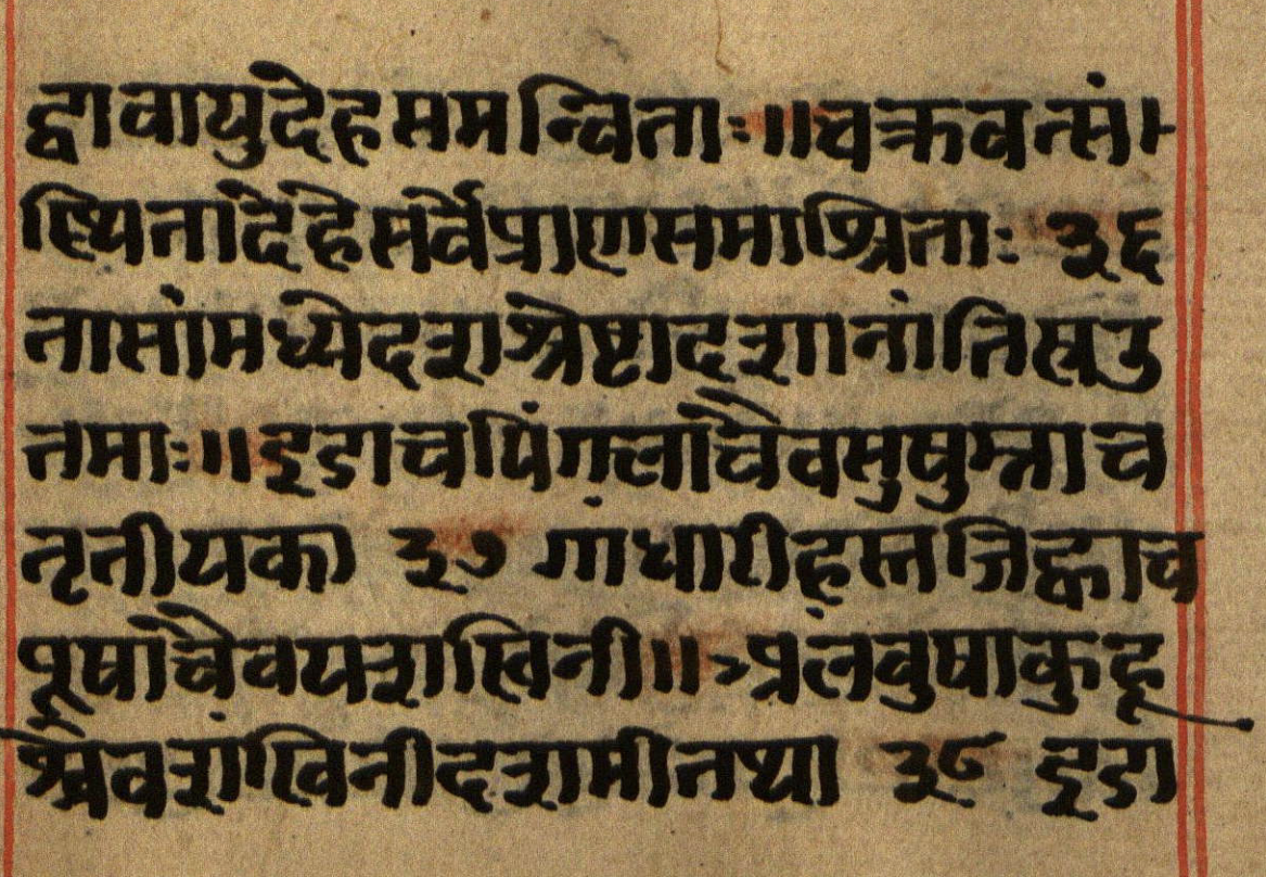 Manusmṛti, page 13