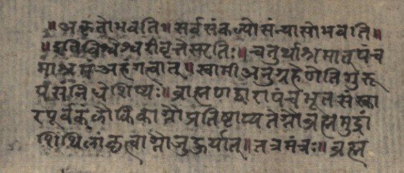 Page of the Pañcamāśramanirūpaṇa on the renunciation ritual
