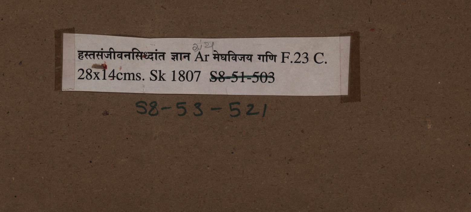 This page presents the title of a treatise on the Hastasamjivana doctrine, a Sanskrit text dealing with knowledge and principles related to hastasamjivana, which concerns reviving or restoring the hands. The work appears to be a siddhanta or established philosophical and practical teaching on this specialized subject, likely belonging to traditional Indian medical or yogic literature focused on hand-related conditions or techniques.