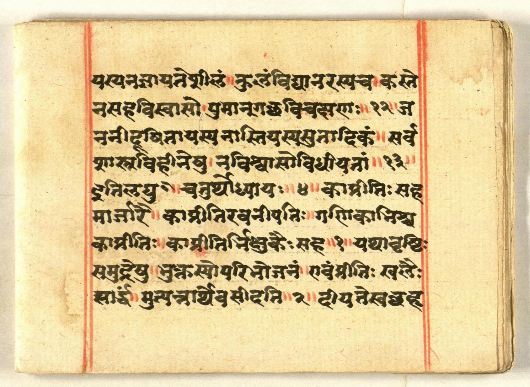 Cāṇakyarajanīti, page 12