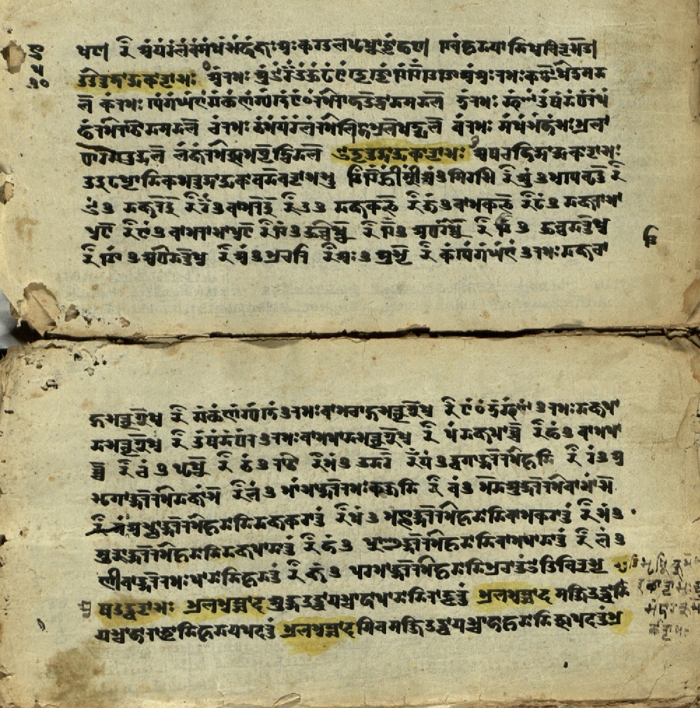 Jvālāmukhīpañcāṅgatantra, page 24