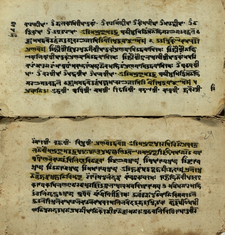 Jvālāmukhīpañcāṅgatantra, page 29