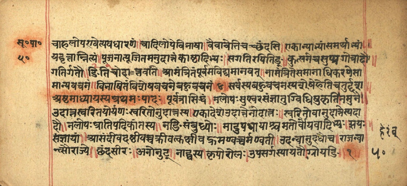 Aṣṭādhyāyī, page 101