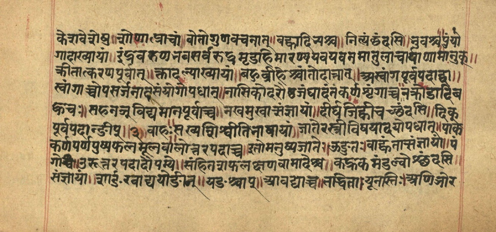 Aṣṭādhyāyī, page 38