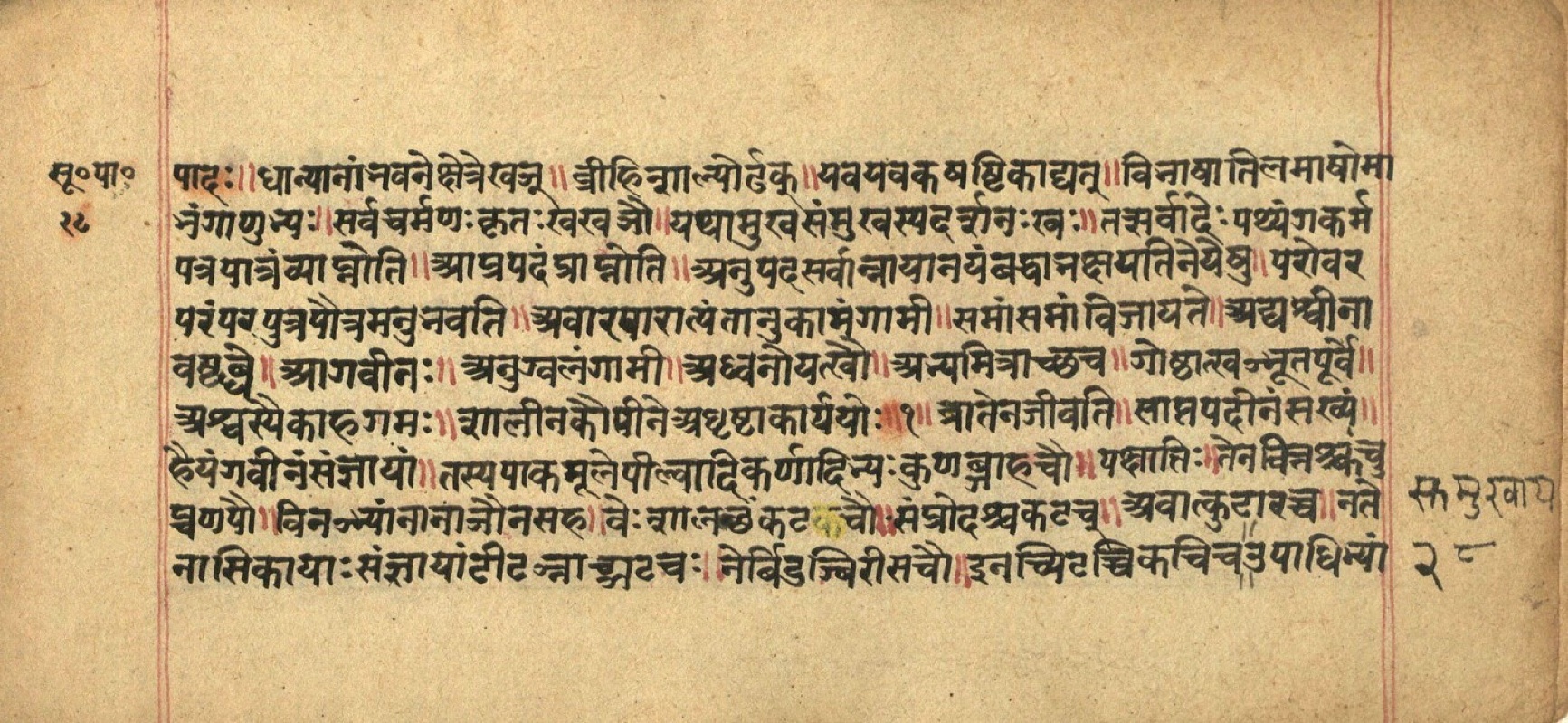 Aṣṭādhyāyī, page 57
