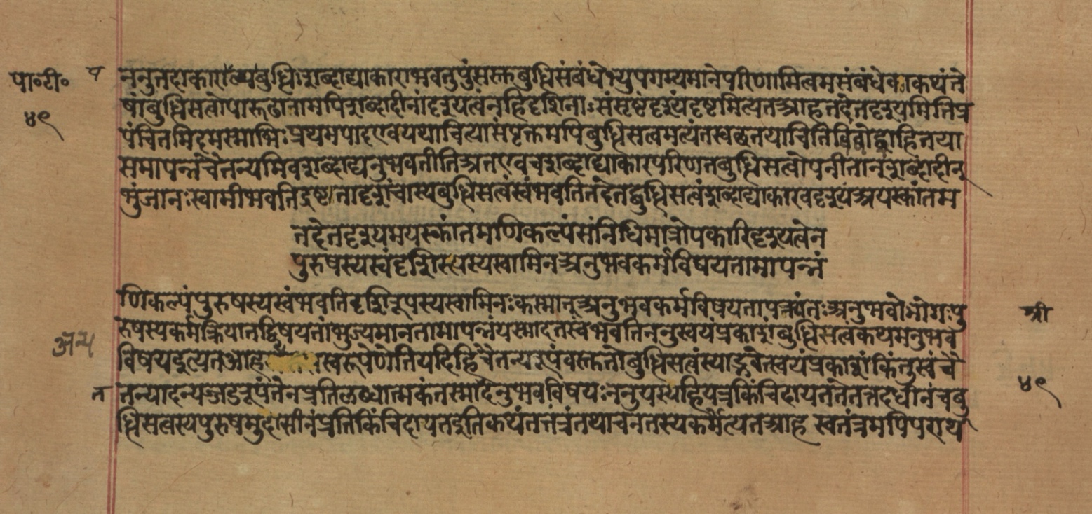 Yogasūtrabhāṣya, page 100