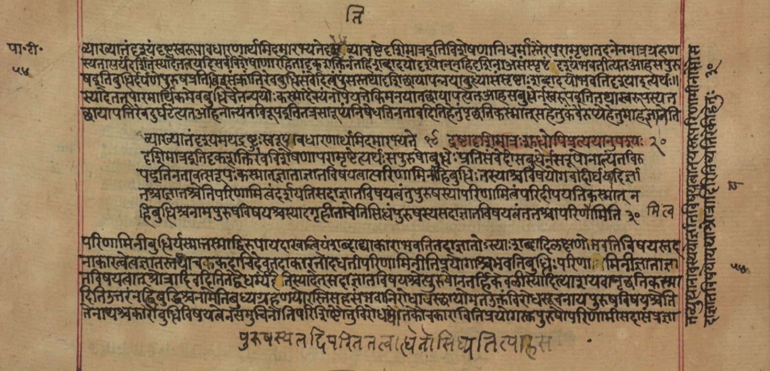 Yogasūtrabhāṣya, page 110