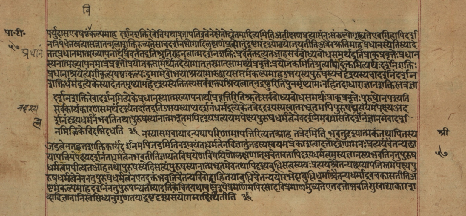 Yogasūtrabhāṣya, page 116