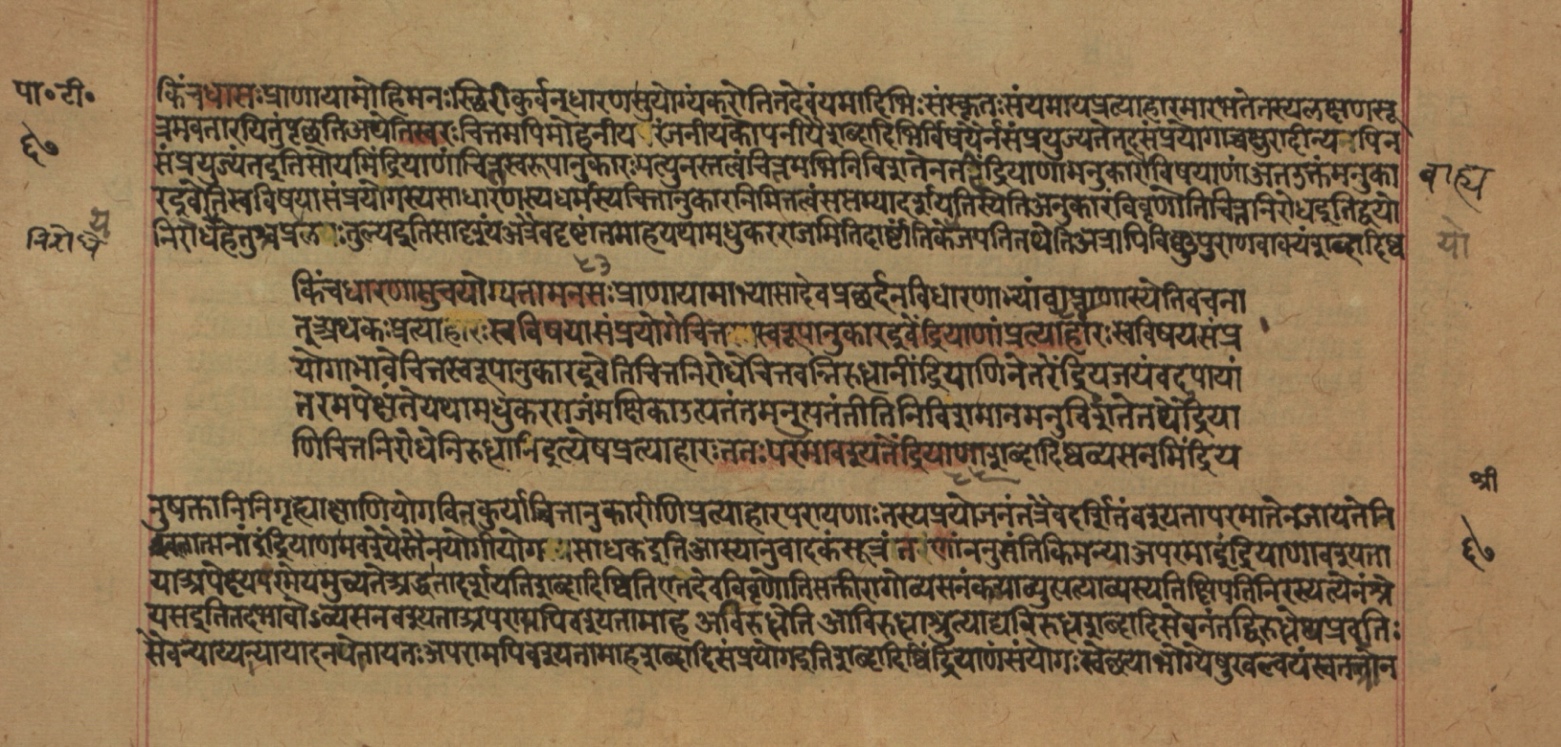 Yogasūtrabhāṣya, page 135