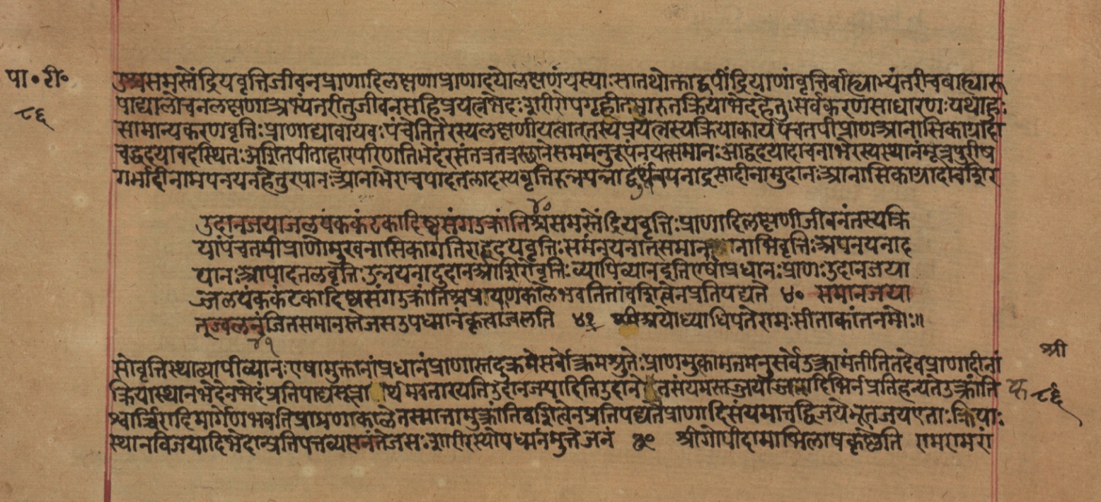 Yogasūtrabhāṣya, page 173