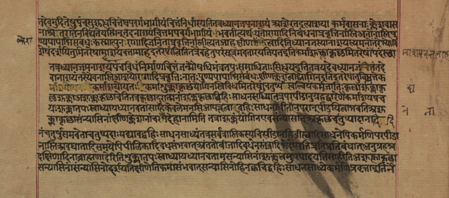 Yogasūtrabhāṣya, page 196