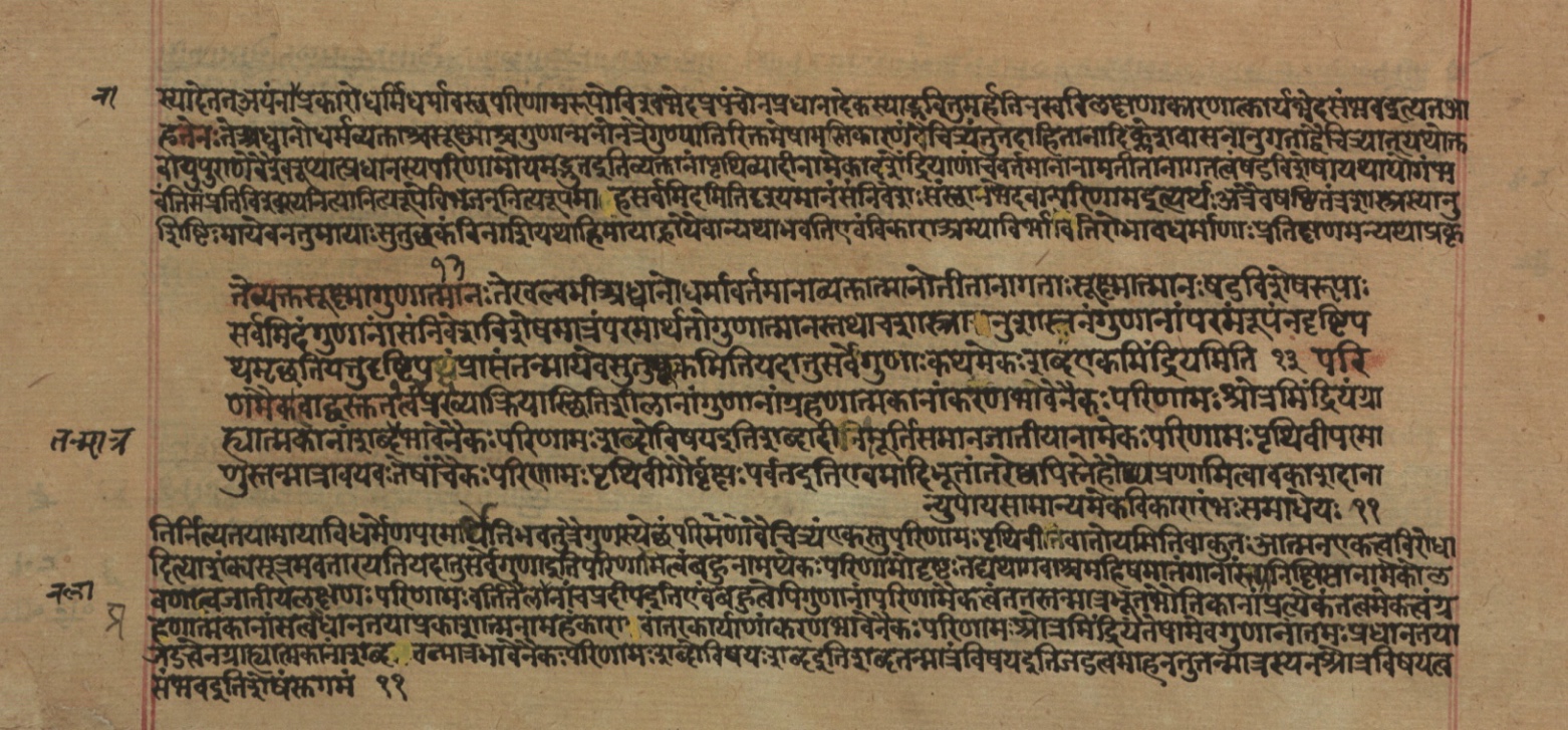 Yogasūtrabhāṣya, page 204