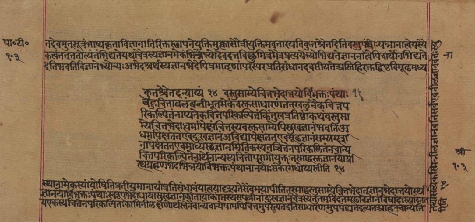 Yogasūtrabhāṣya, page 207