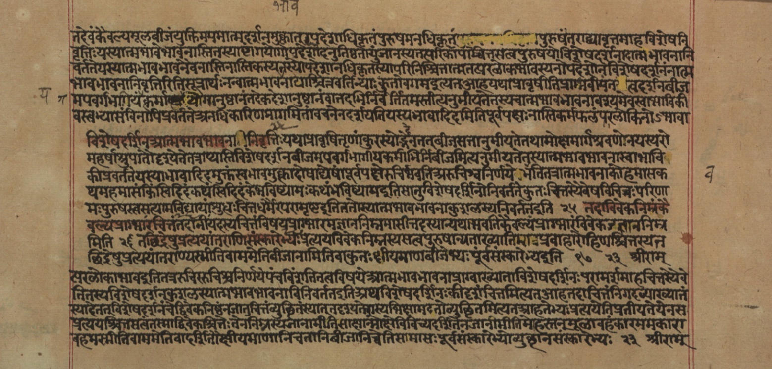 Yogasūtrabhāṣya, page 216