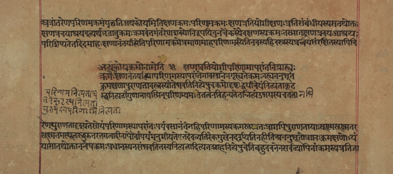 Yogasūtrabhāṣya, page 220