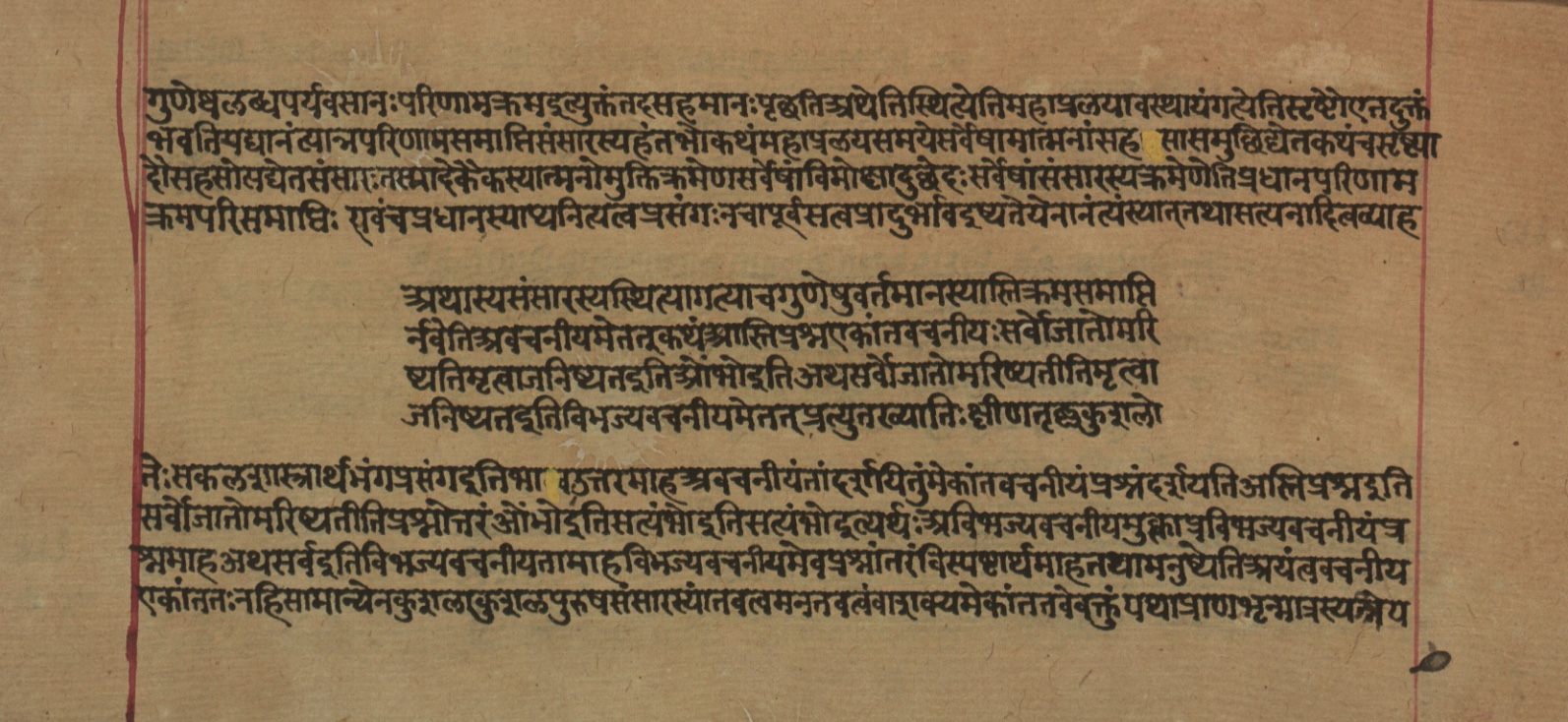 Yogasūtrabhāṣya, page 222