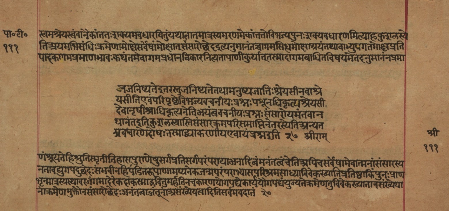 Yogasūtrabhāṣya, page 223