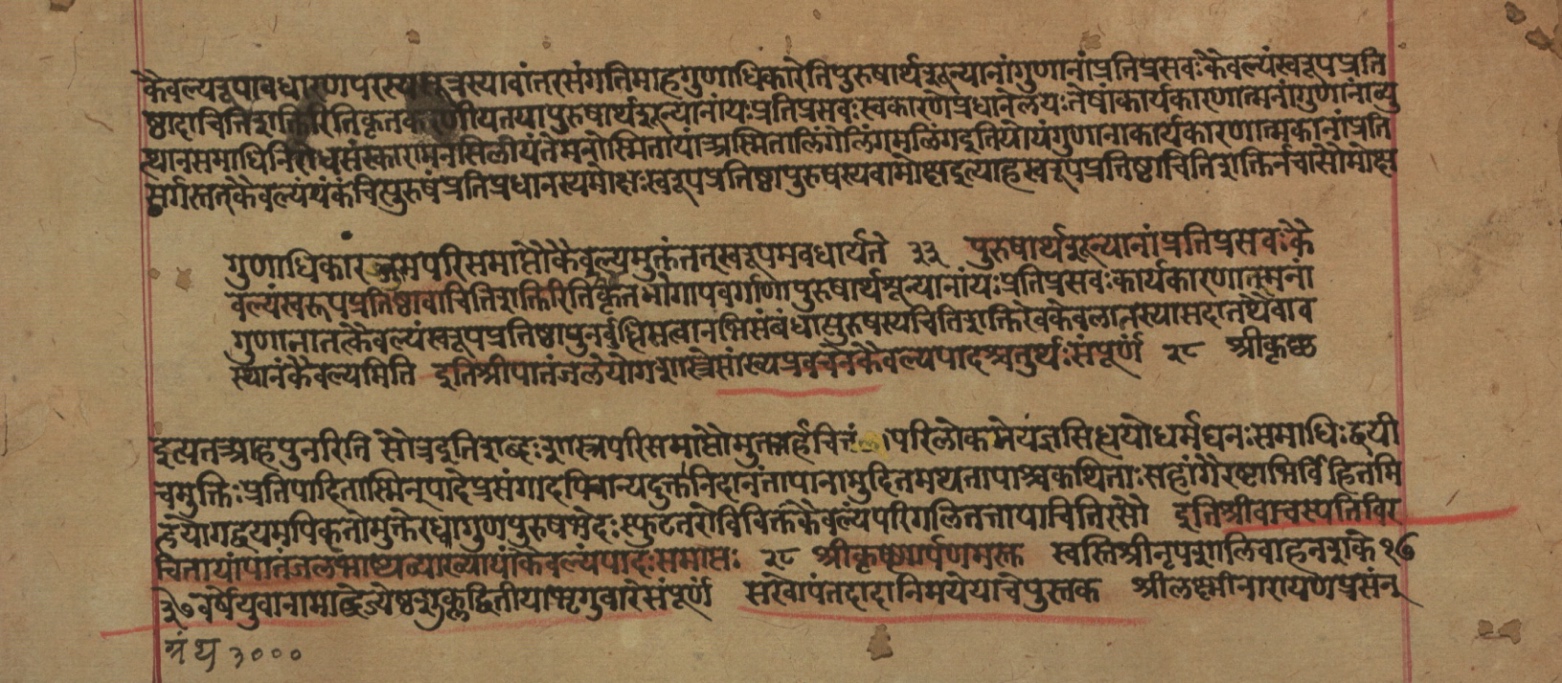 Yogasūtrabhāṣya, page 224