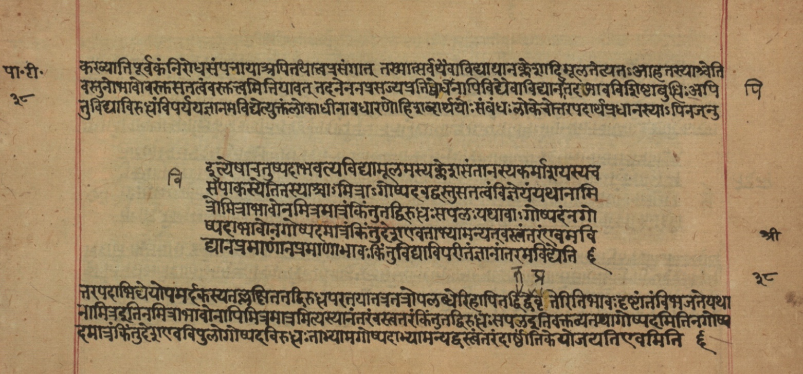 Yogasūtrabhāṣya, page 78