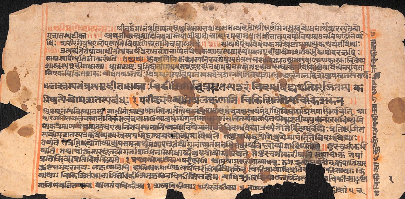 Opening of the Yogaśatakaṭīkā, a commentary on a hundred medicinal yogas