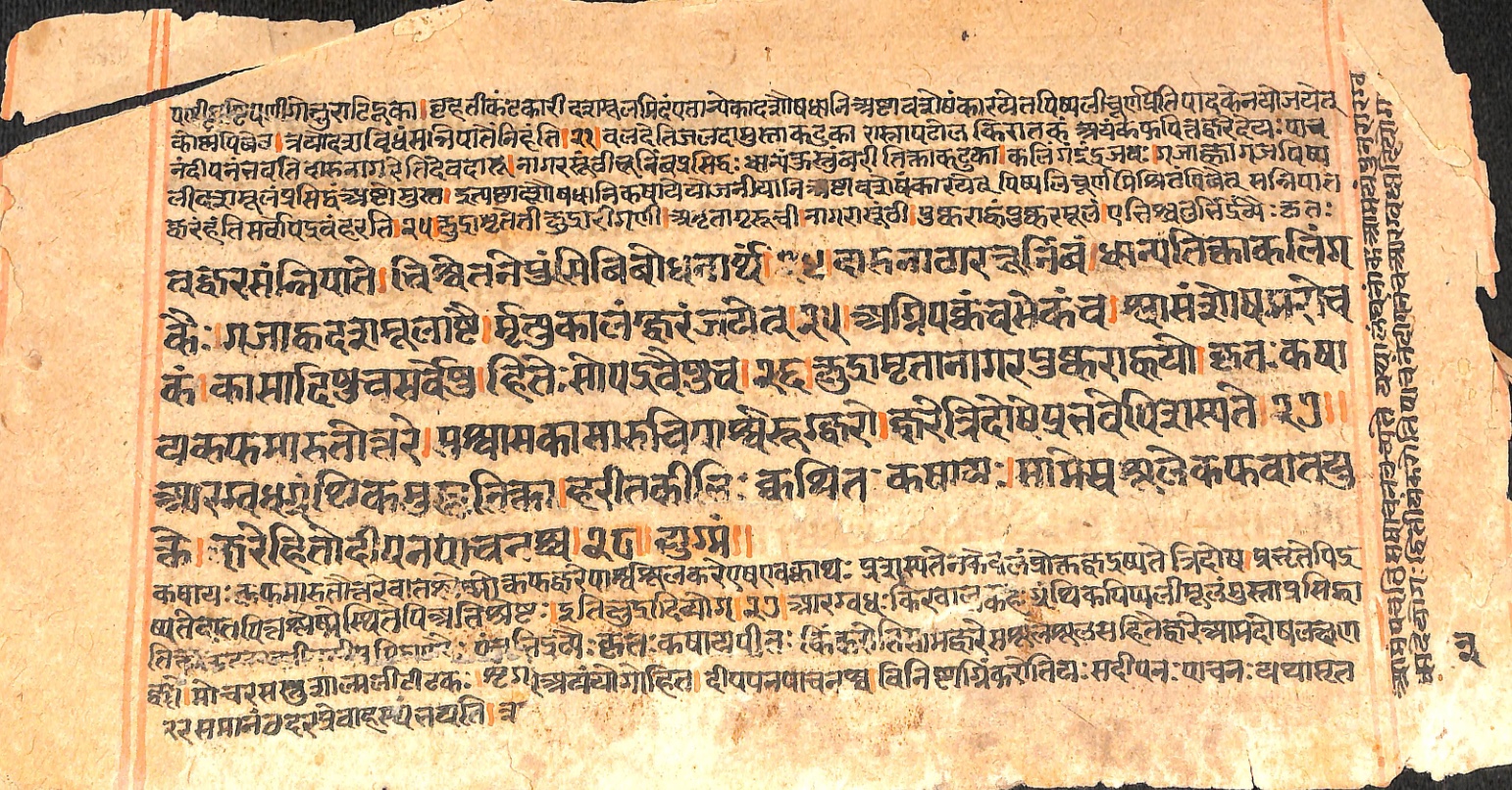 Page of the Yogaśatakaṭīkā on daśamūla decoctions for fever
