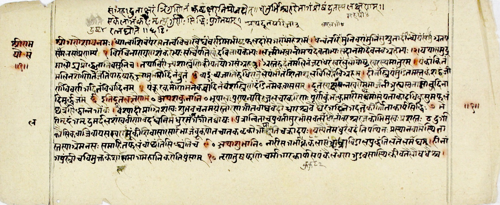 This manuscript page discusses the characteristics of messengers (duta-lakshana) and omens (shakunani) in a yoga compendium. It describes auspicious signs including kings, full pots, fish, meat, flags, curd, flowers, umbrellas, cows, music, and sweet-voiced birds like the cātaka and crane that bring success in undertakings. Inauspicious signs include pregnant women, cat tails, sesame oil, loose-haired women, and snakes that cause loss. The text also contains invocations to Ganesha, Shiva, Dhanvantari, Sushruta, Vishnu, and planetary deities, with references to calculations involving syllables and numerical values like buffalo 4 and sāralanī 4.