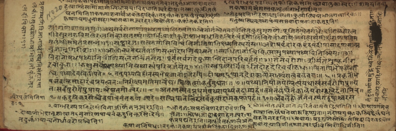 Pathyāpathyavidhi, page 2