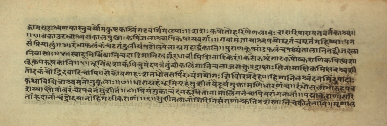 Pathyāpathyavidhi, page 11