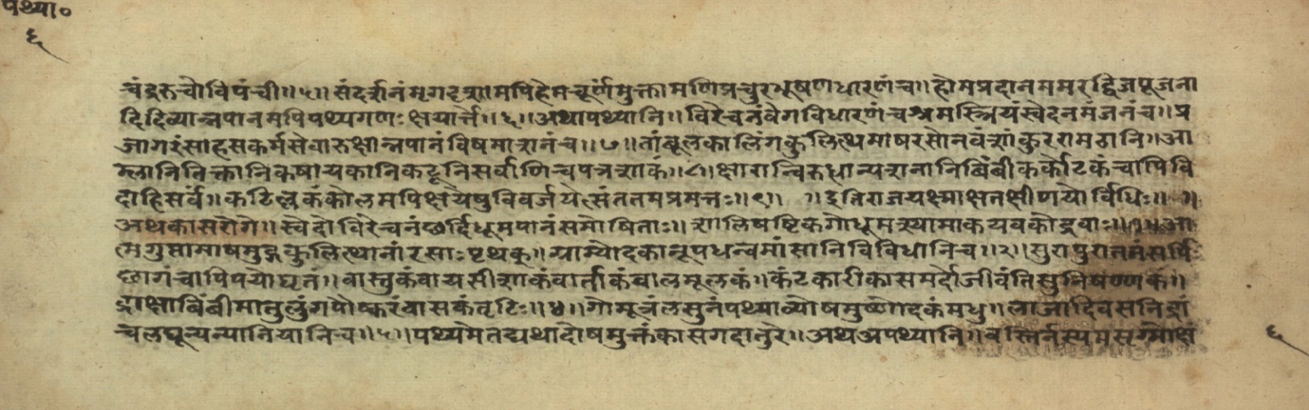 Pathyāpathyavidhi, page 13