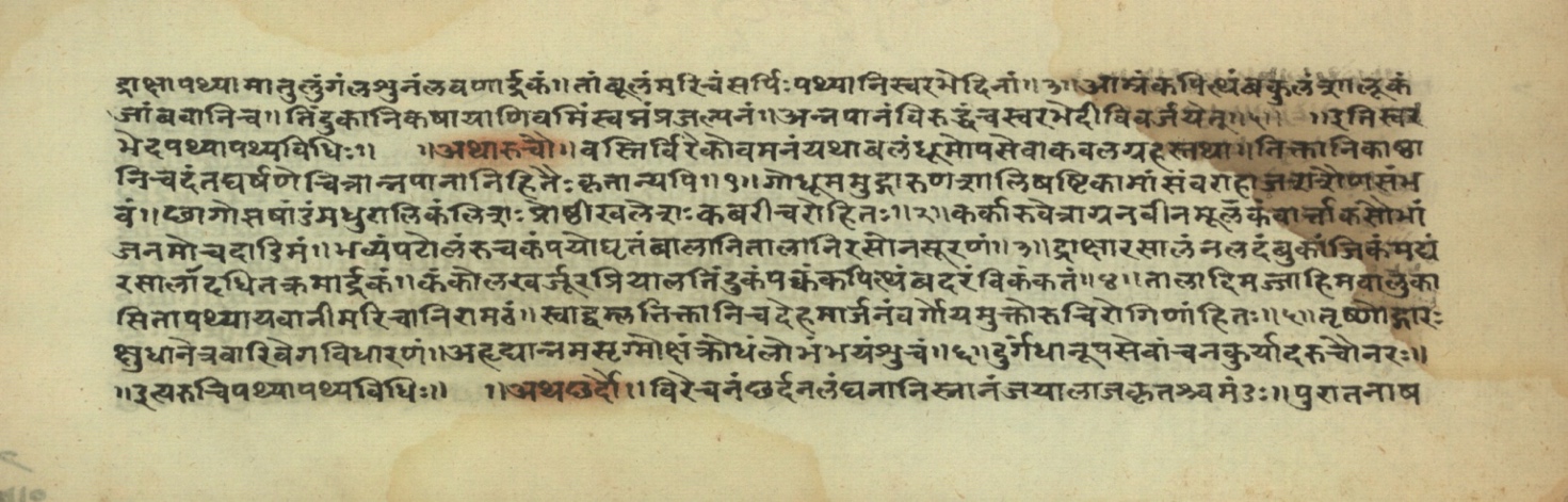 Pathyāpathyavidhi, page 16